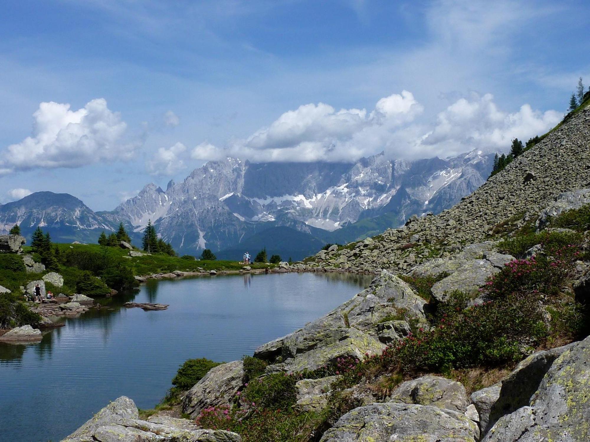 Fruehstueckspension Gsenger Ramsau am Dachstein Kültér fotó
